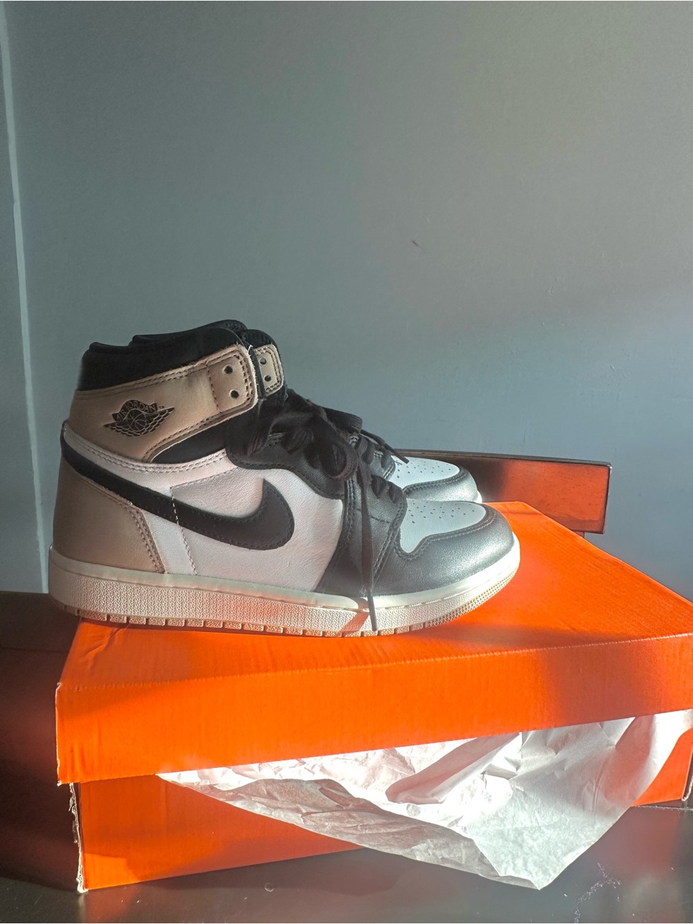 Women’s Nike Air Jordan 1 “Latte”